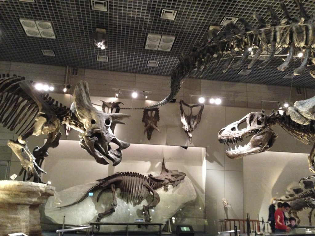 恐竜の対峙